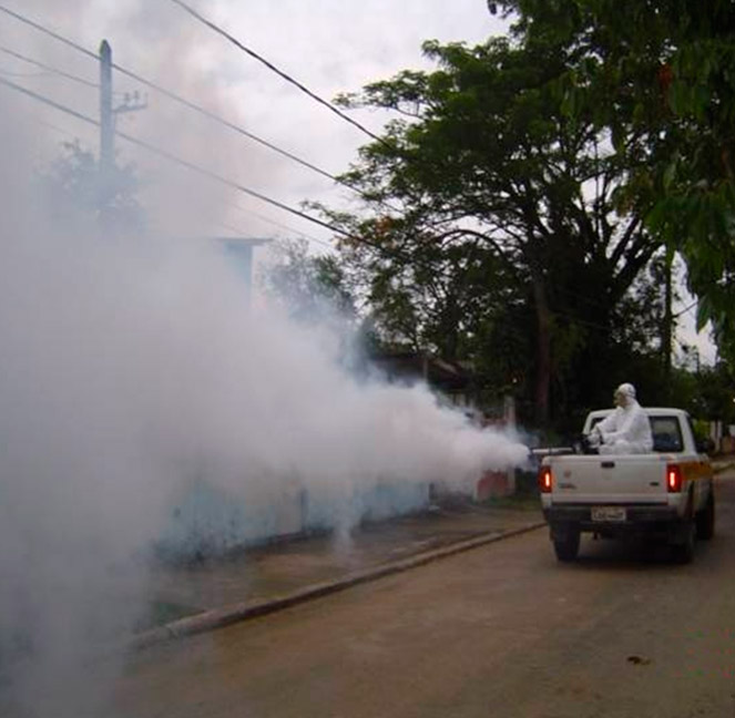 Foto do Controle de Praga e Vetores